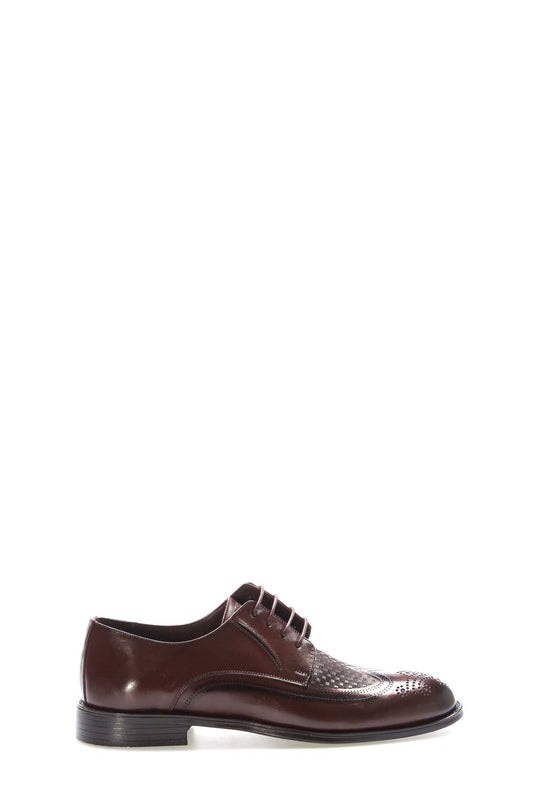Brown Perforated Leather Derby Shoes